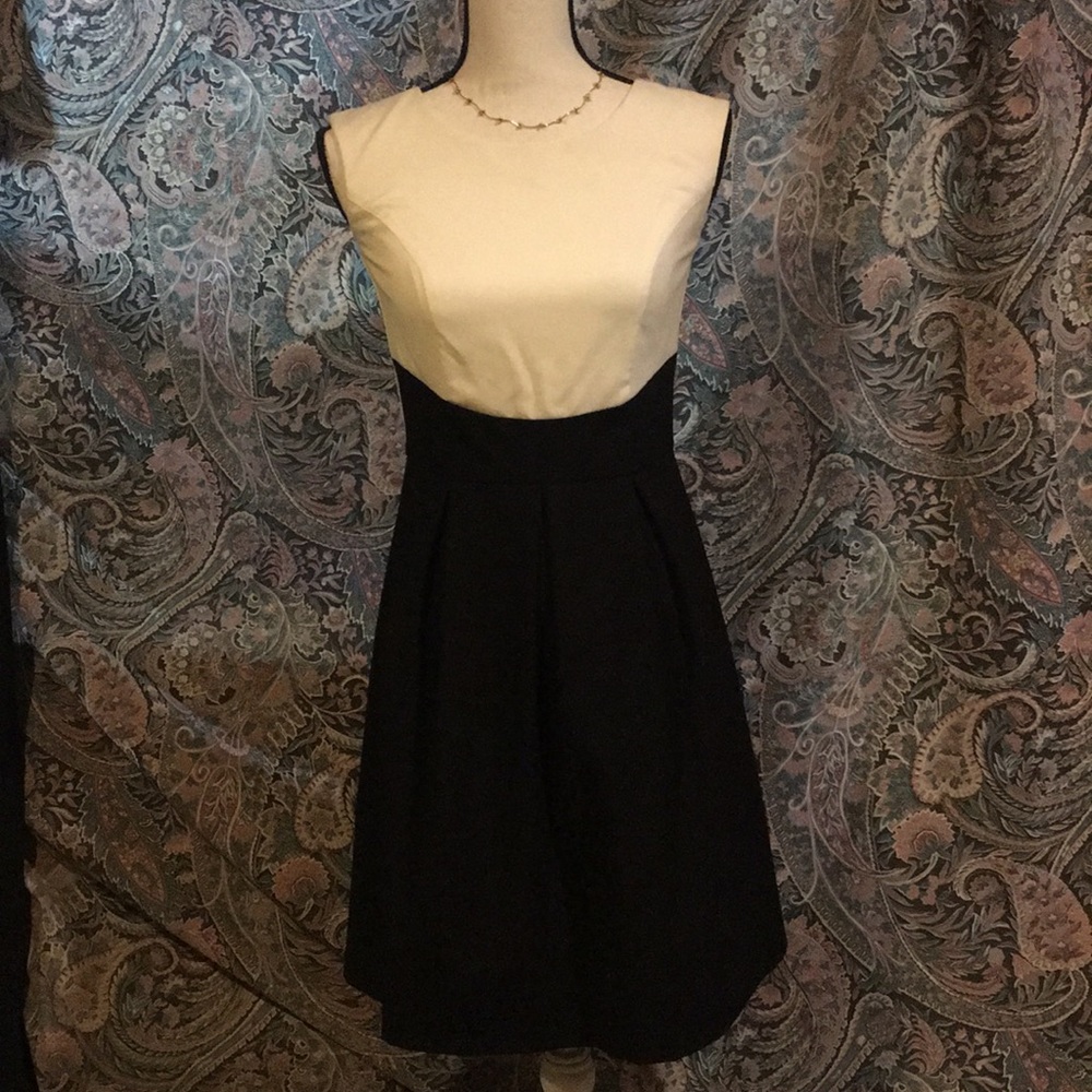 Modest dress